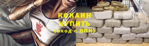 прущие грибы Гусиноозёрск